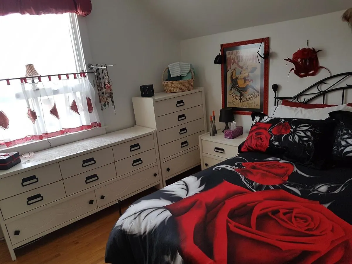 فندق مبيت وإفطار مبيت وإفطار تورونتو The Owl House